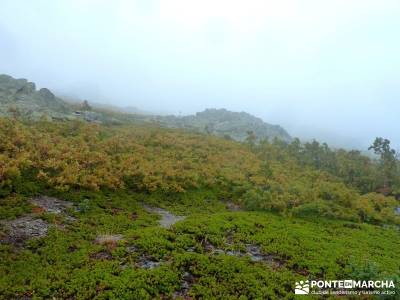 Ascenso al pico Ocejón [Serie Clásica]club escalada madrid rutas para caminar rutas senderismo gua